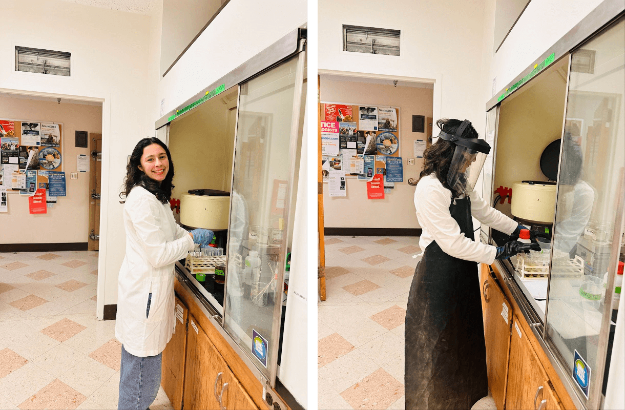Evalyse (Mentee) at the UCLA MacDonald Paleo lab working on some pollen sampling